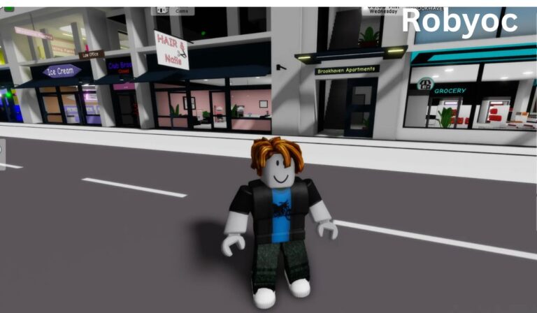 Robyoc Review 2026: Pros, Cons, Key Features, and User Experience Robyoc