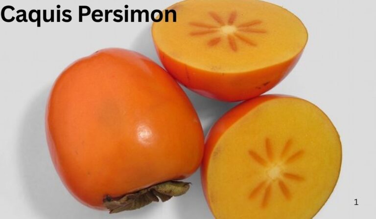 Caquis Persimon